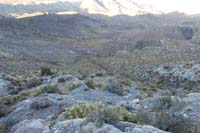 61-heading_down_to_pinyons,then_right_to_vehicle-some_parts_were_talus_slope