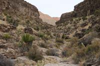 37-scenic_view_looking_up_canyon