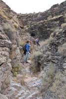 46-looking_back-Kenny_found_old_deer_antlers