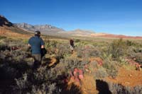 56-heading_back_to_Pine_Creek_parking_lot-enjoying_pretty_scenery-drought_stricken_prickly_pears