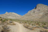 13-trail_offers_scenic_views_of_Orca(Whale),Gottlieb,and_Summerlin_Ridge_Peaks