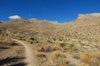 15-trail_offers_scenic_views-Wicked_Spoon_Trail_meaders_that_area_ahead-Orca(Whale)_Peak_to_right