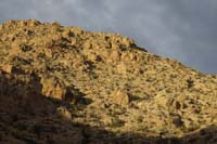 07-I_noticed_a_bighorn_sheep_on_the_peak