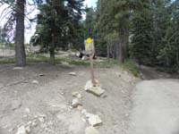 12-.1_miles_from_lookout_is_trail_sign-I_took_trail,not_road,.4_miles_shorter