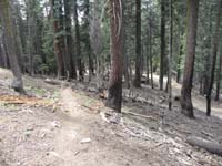 14-scenery_along_trail-parallel_to_road_often