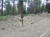 15-trail_junction-wanted_to_take_trail_to_Grant_Grove,but_Kristi_meeting_me_at_parking_lot