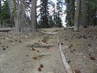 16-there's_the_road_where_I_was_confused_by_sign