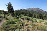 10-scenic_view_along_trail-Thunder_Mt
