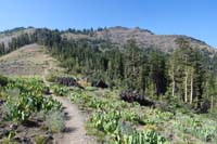 15-scenic_view_along_trail-getting_closer_to_Thunder_Mt