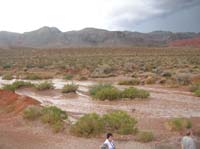 14-view_of_flood_to_left_from_roof_of_Trekker