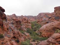 09-pretty_terrain_with_light_rain