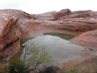 36-pool-umbrellas_in_distance-didn't_visit_them_since_cold,windy_and_still_drizzling