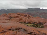 38-interesting_pocket_of_vegetation-pretty_scenery-clouds_starting_to_break