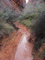 65-neat_scenery_with_some_water-route_would_have_been_much_easier_when_dry