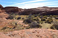 49-very_nice_area_where_water_collects_allowing_for_lush_pocketed_area