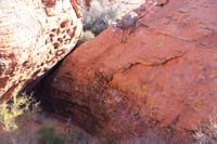 52-ewe_scurried_up_rock_no_problem,but_baby_has_trouble,ewe_tries_to_help,ewe_finally_went_to_right