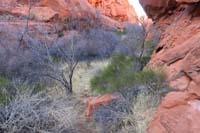 65-meander_through_the_wash,around_the_bushes,following_the_usage_trail