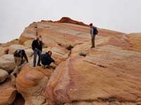 57-group_scrambling_rock