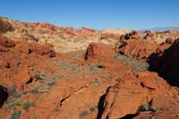 29-scenery_along_the_way