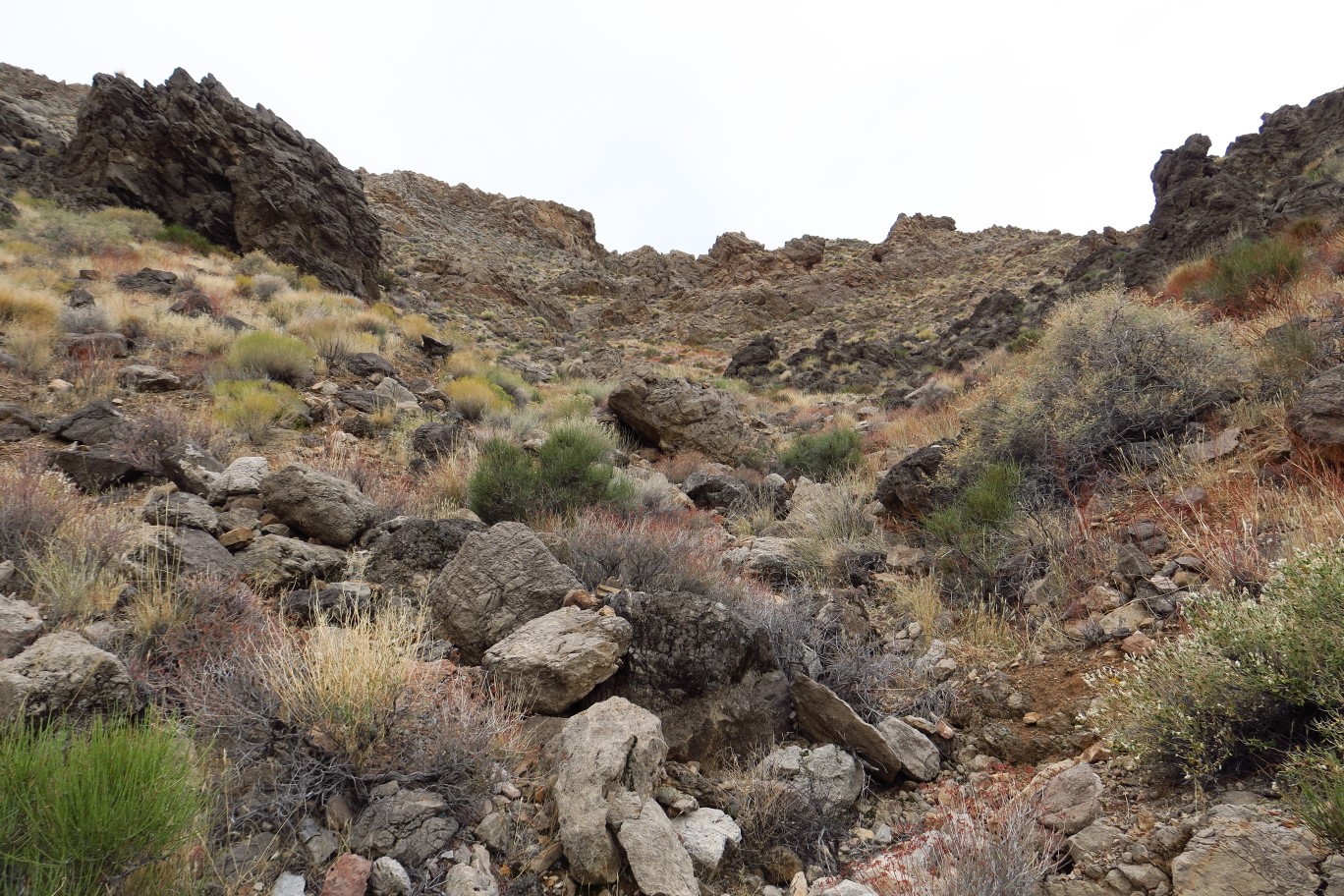 07-terrain_as_we_ascend