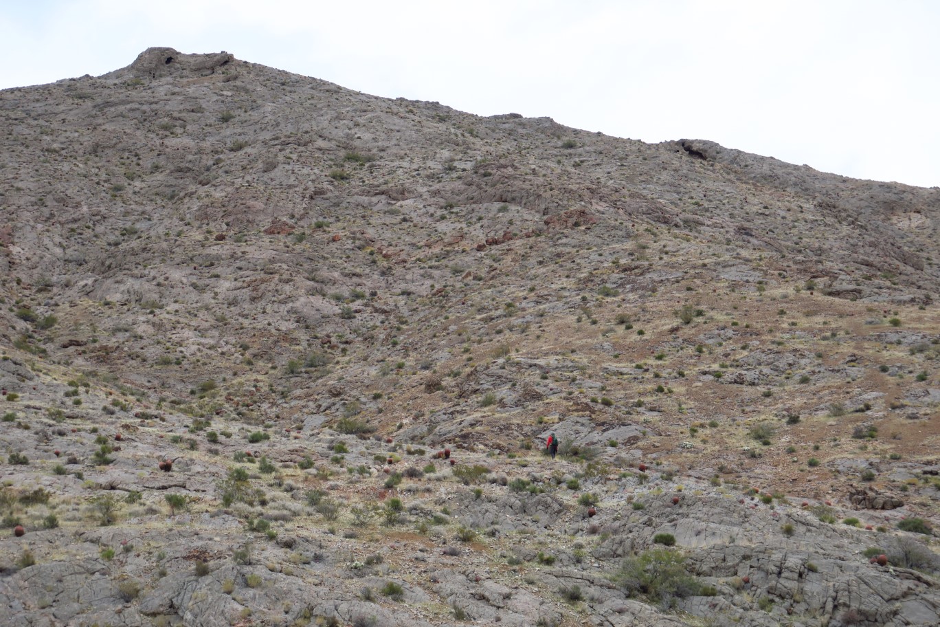 02-terrain_to_Thin_Peak