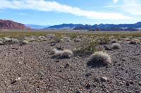 36-follow_usage_trail_which_is_sometimes_faint_to_the_next_post