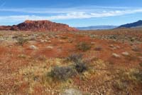 40-section_would_be_amazing_when_desert_trumpet_blooming_in_spring_VOF_Peak_in_distance