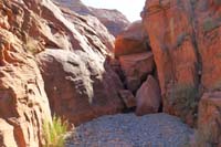 44-the_jiggy_avoids_this_class_3_scrambling_obstacle