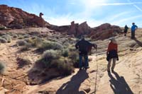 16-return_to_this_area_to_travel_a_little_up_rock,then_left-don't_follow_track_due_to_cryptobiotic_soild