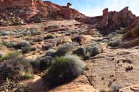17-walk_through_minor_brush_to_lower_left,then_walk_up_minor_wash_to_access_rock_avoiding_crypto_soil