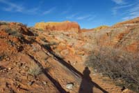 47-scramble_up_wash_to_Pink_(Pastel)_Canyon-Wonder_6