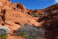 72-false_trail_leads_to_scrambling_on_sandstone