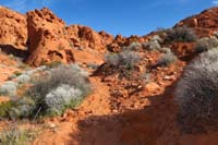 73-instead_trail_diverges_to_right_which_doesn't_involve_walking_on_sandstone
