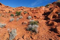 75-simply_scramble_up_the_stone_step_to_continue_trail_towards_right