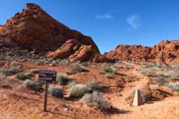 77-looking_back_to_trail_junction_for_Old_Arrowhead_and_Elephant_Rock_trails