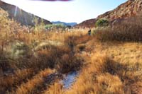 24-looking_back-usage_path_through_wetland_area