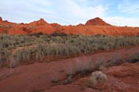 35-wetland_area_from_Clark_Memorial