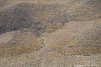 29-lots_of_game_trails