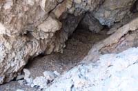 50-packrat_midden_in_the_cave