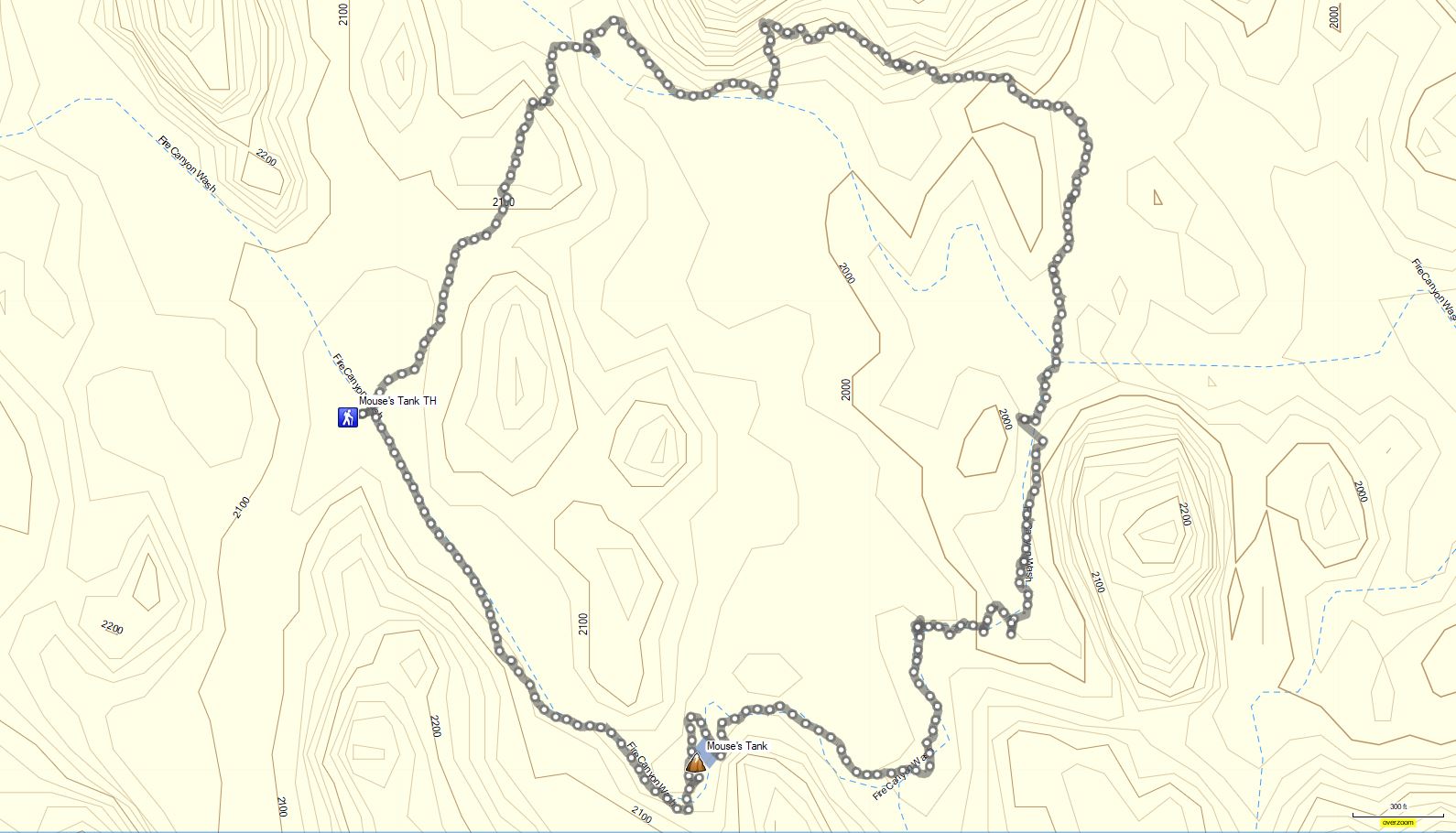 42-topo