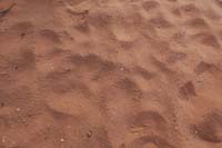 10-sidewinder_rattlesnake_tracks