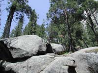 44-Kristi_waiting_for_me_to_get_back_on_the_trail