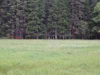 34-see_the_river_almost_to_the_bottom_part_of_the_bridge