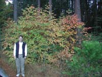 66-Chris_with_pretty_fall_colors