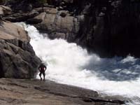 36-careful_one_false_step_and_Peppe_is_a_goner