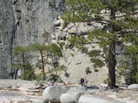 56-Peppe_and_stairway_to_top_of_Yosemite_Fall_from_across_creek
