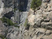 67-looking_at_me_while_on_the_ledge