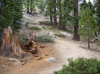 03-beginning_of_stairway_of_hell