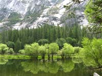 20-scenic_views_along_Mirror_Lake