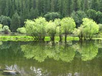 21-scenic_views_along_Mirror_Lake